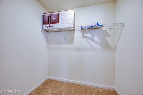 Tiny photo for 136 Ibis Loop, Oak Ridge, TN 37830 (MLS # 1330919)