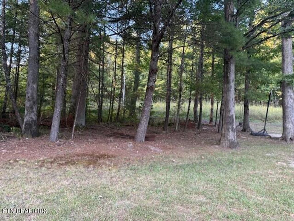 Photo of 3561 Grave Hill Rd, Oneida, TN 37841 (MLS # 1319813)