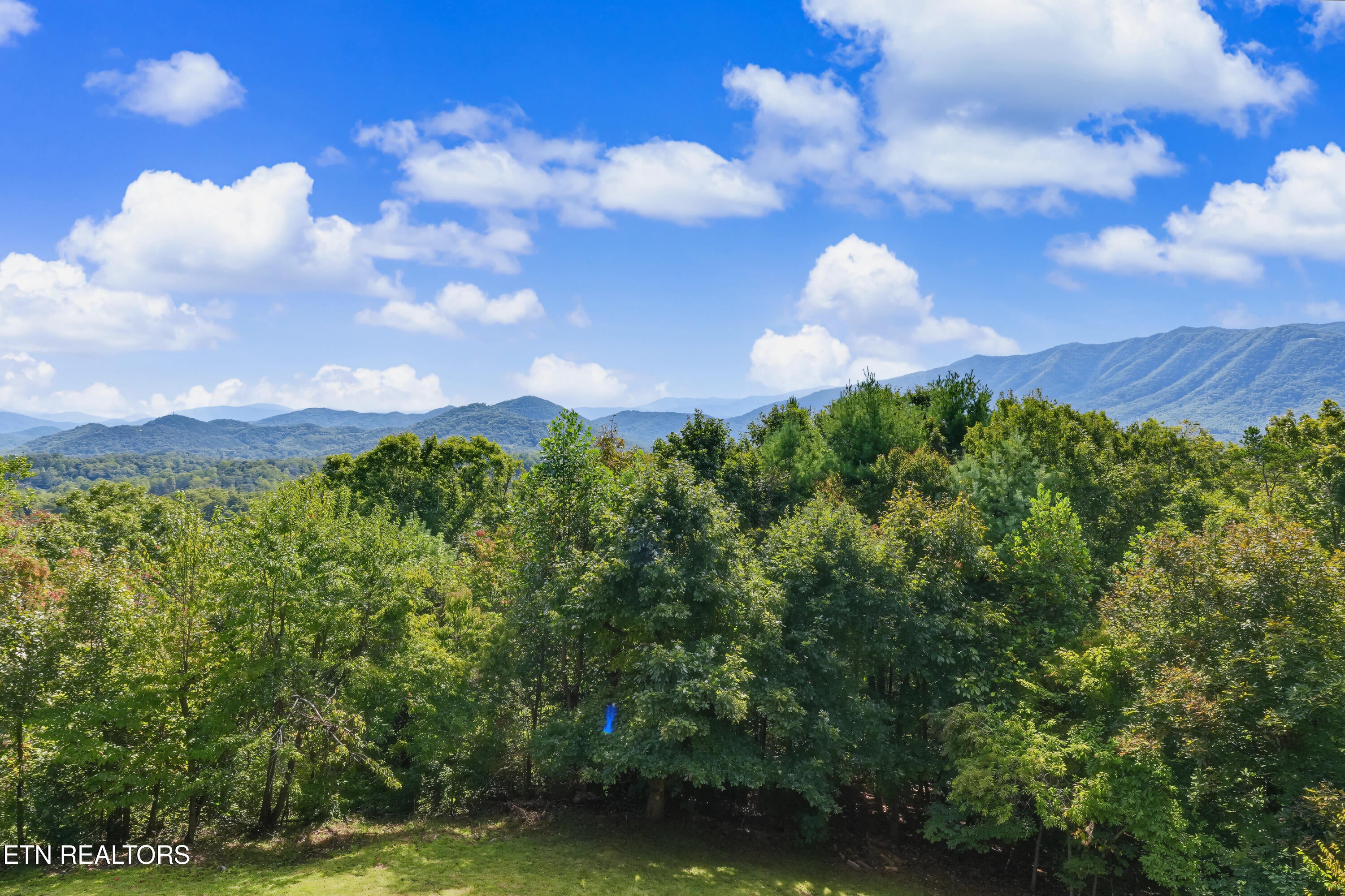 146 Tolliver Trail