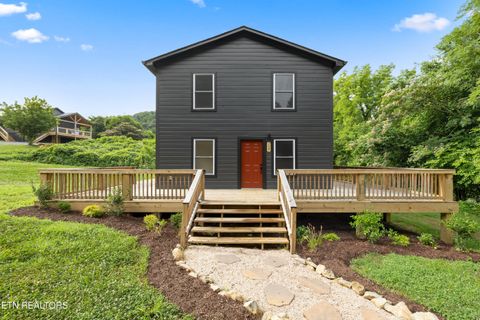 Photo of 157 Greasy Cove Rd, Cosby, TN 37722 (MLS # 1347561)