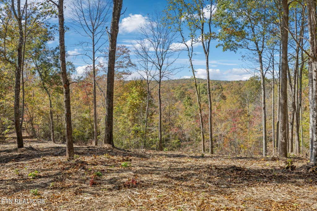 Photo of sheep ranch rd, Robbins, TN 37852 (MLS # 1322882)