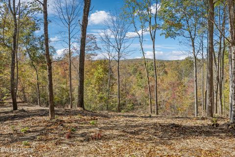 Photo of sheep ranch rd, Robbins, TN 37852 (MLS # 1322882)