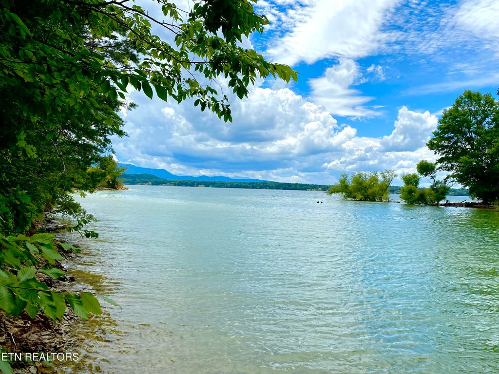 Photo of Tyler Court, Baneberry, TN 37890 (MLS # 1238468)