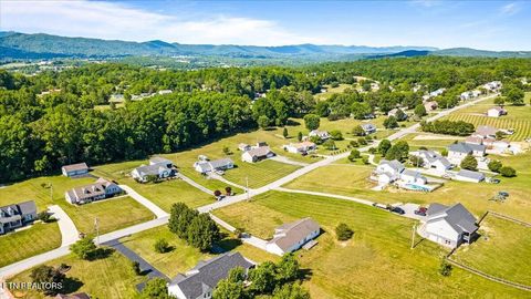Tiny photo for 164 Gail Lane, Jacksboro, TN 37757 (MLS # 1341998)