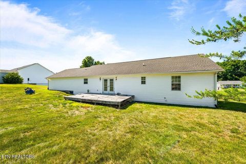 Tiny photo for 164 Gail Lane, Jacksboro, TN 37757 (MLS # 1341998)