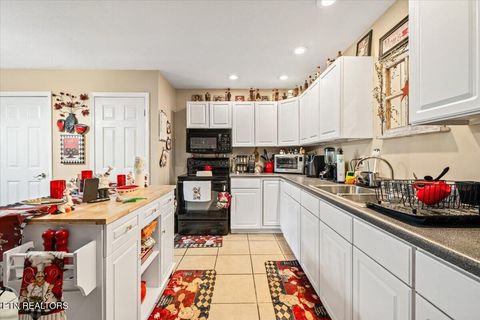 Tiny photo for 164 Gail Lane, Jacksboro, TN 37757 (MLS # 1341998)