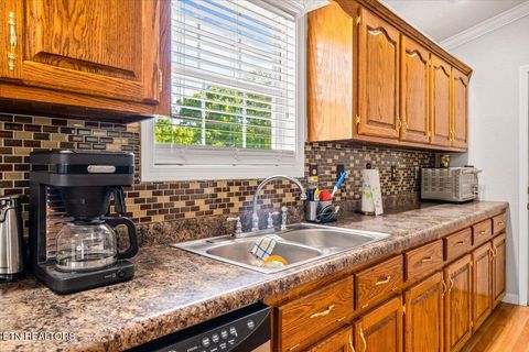 Tiny photo for 164 Gail Lane, Jacksboro, TN 37757 (MLS # 1341998)