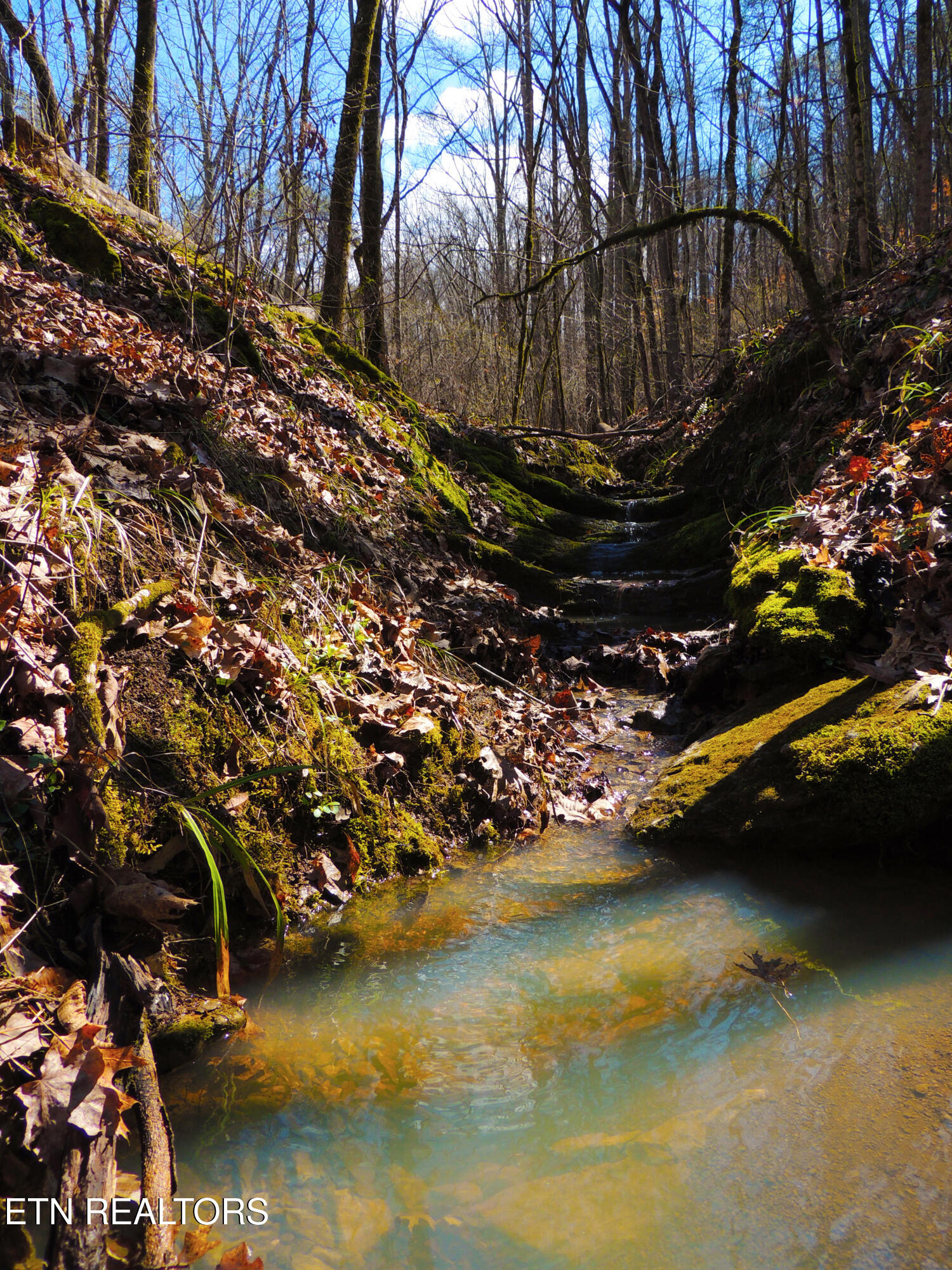 000 Thorngrove Pike