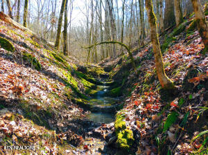 000 Thorngrove Pike