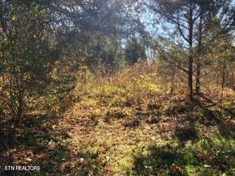 000 Thorngrove Pike Strawberry Plains TN 37871