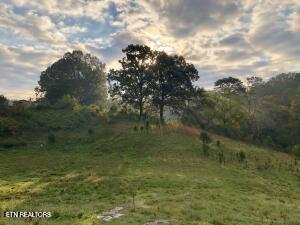 000 Thorngrove Pike