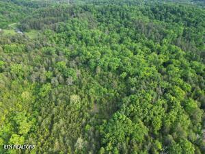 000 Thorngrove Pike