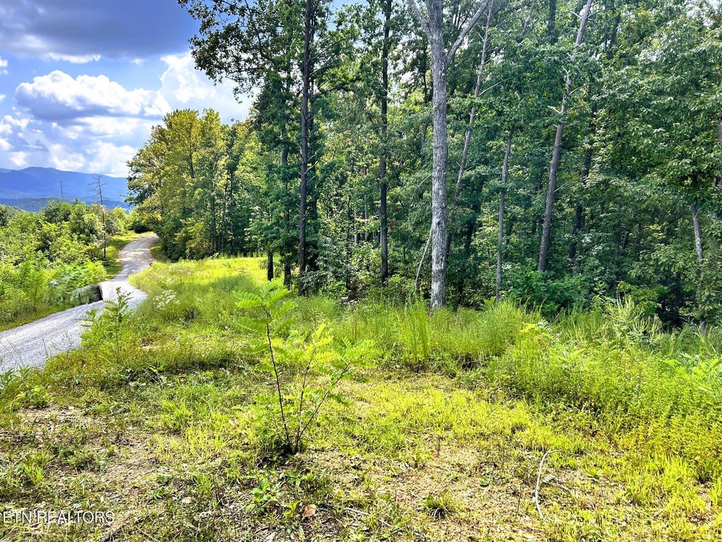 Photo of 125 Chestnut Mountain Rd, Reliance, TN 37369 (MLS # 1359531)