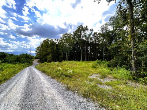 Tiny photo for 125 Chestnut Mountain Rd, Reliance, TN 37369 (MLS # 1359531)