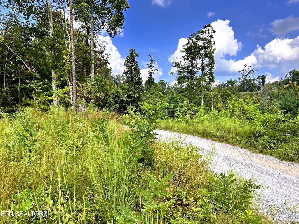 Photo of 125 Chestnut Mountain Rd, Reliance, TN 37369 (MLS # 1359531)