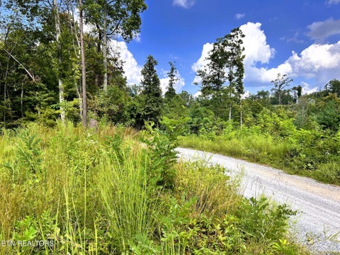 Tiny photo for 125 Chestnut Mountain Rd, Reliance, TN 37369 (MLS # 1359531)