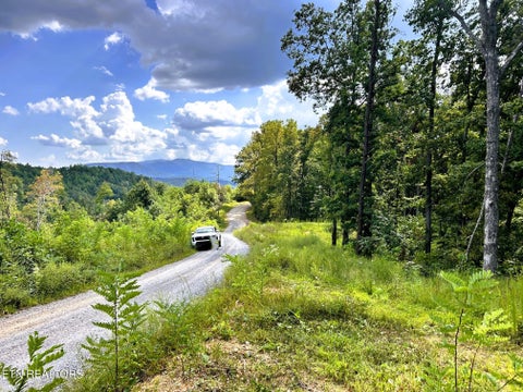 Tiny photo for 125 Chestnut Mountain Rd, Reliance, TN 37369 (MLS # 1359531)