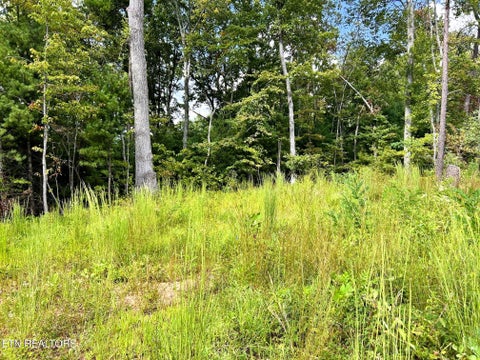 Tiny photo for 125 Chestnut Mountain Rd, Reliance, TN 37369 (MLS # 1359531)