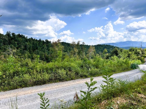 Tiny photo for 125 Chestnut Mountain Rd, Reliance, TN 37369 (MLS # 1359531)