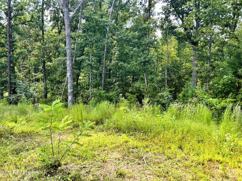Tiny photo for 125 Chestnut Mountain Rd, Reliance, TN 37369 (MLS # 1359531)