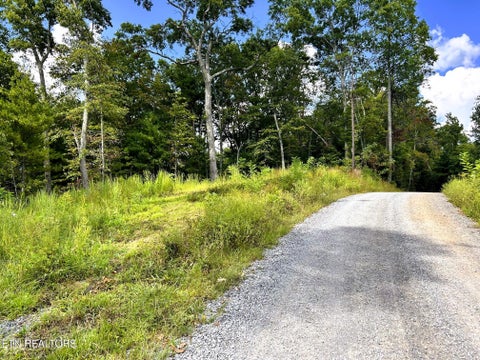 Tiny photo for 125 Chestnut Mountain Rd, Reliance, TN 37369 (MLS # 1359531)