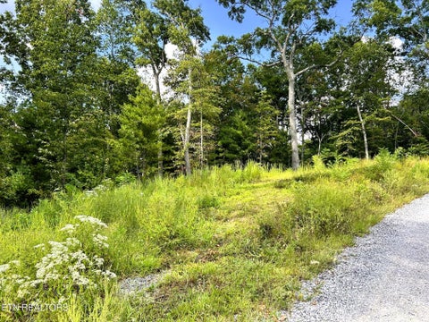 Tiny photo for 125 Chestnut Mountain Rd, Reliance, TN 37369 (MLS # 1359531)