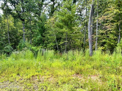 Tiny photo for 125 Chestnut Mountain Rd, Reliance, TN 37369 (MLS # 1359531)