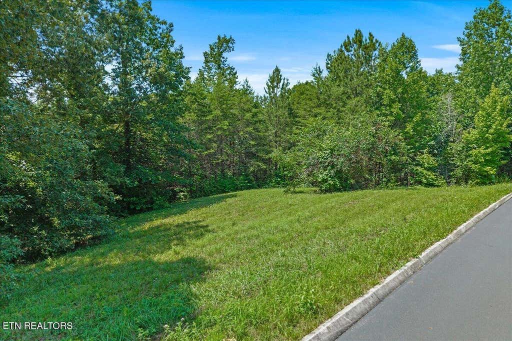 Photo of Lot 16 Copper Still Way WAY, Madisonville, TN 37354 (MLS # 1346837)