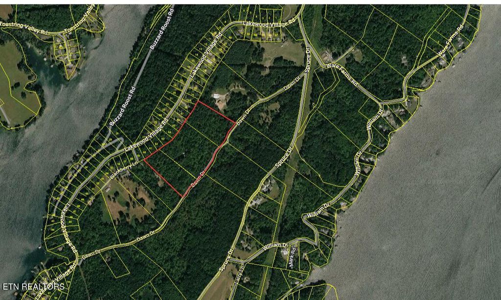 Photo of 665 Lakewood Village Rd, Spring City, TN 37381 (MLS # 1338650)