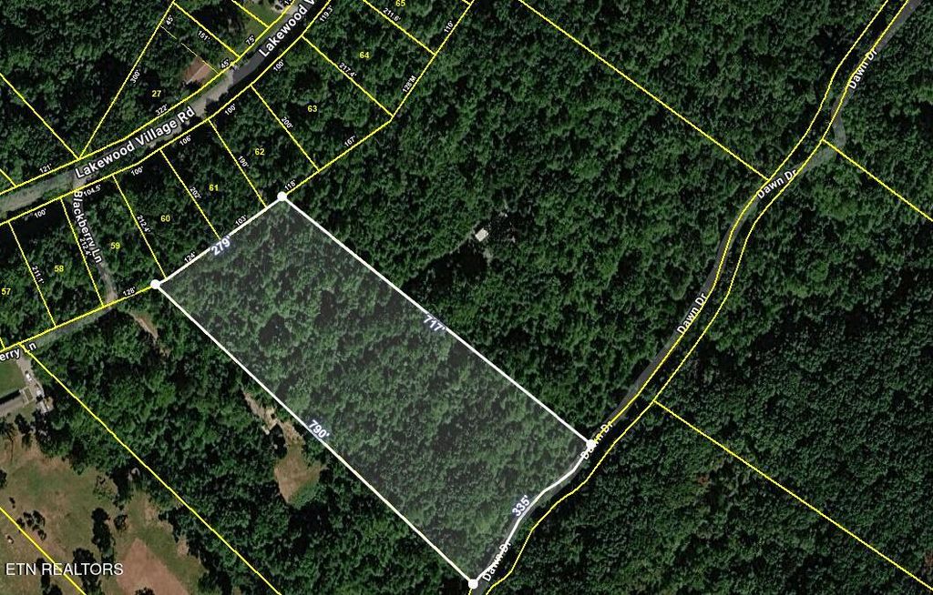 Photo of 665 Lakewood Village Rd, Spring City, TN 37381 (MLS # 1338650)