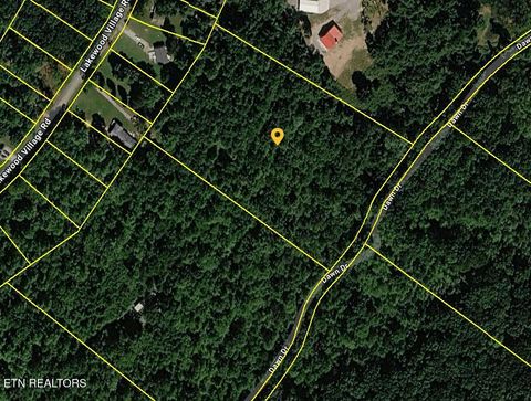 Tiny photo for 665 Lakewood Village Rd, Spring City, TN 37381 (MLS # 1338650)