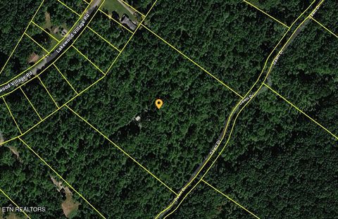 Tiny photo for 665 Lakewood Village Rd, Spring City, TN 37381 (MLS # 1338650)
