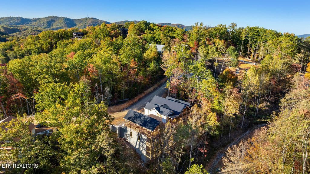 Photo of 333 Elia Way, Sevierville, TN 37876 (MLS # 1319743)