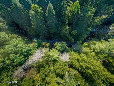 Tiny photo for 23 Redeye Drive, Crossville, TN 38571 (MLS # 1359914)