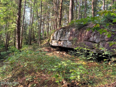 Tiny photo for 23 Redeye Drive, Crossville, TN 38571 (MLS # 1359914)