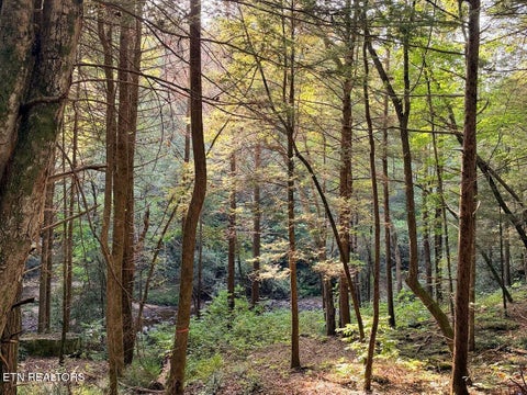 Tiny photo for 23 Redeye Drive, Crossville, TN 38571 (MLS # 1359914)