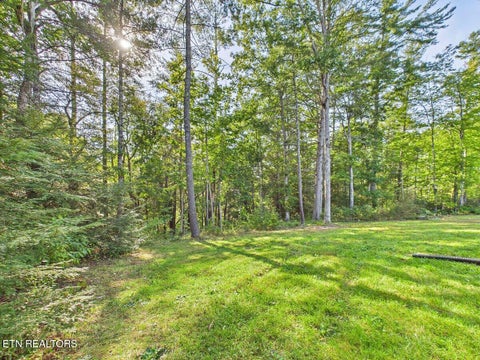 Tiny photo for 23 Redeye Drive, Crossville, TN 38571 (MLS # 1359914)