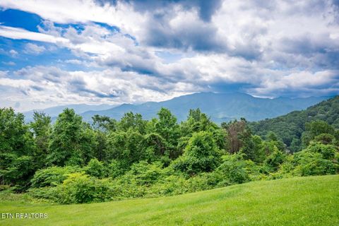 Tiny photo for 1260 Ski View Drive #APT 4204, Gatlinburg, TN 37738 (MLS # 1338829)