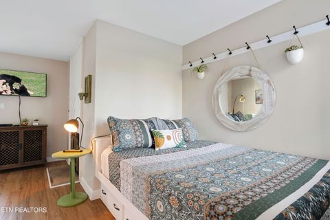 Tiny photo for 1260 Ski View Drive #APT 4204, Gatlinburg, TN 37738 (MLS # 1338829)