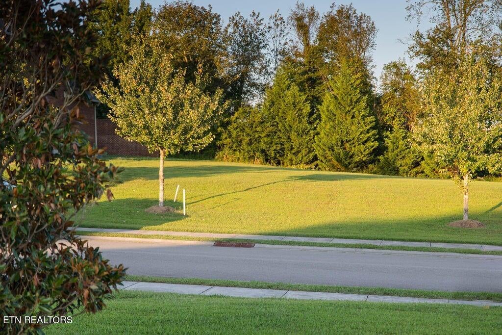 Photo of 1568 Tsuga Drive, Alcoa, TN 37701 (MLS # 1351066)