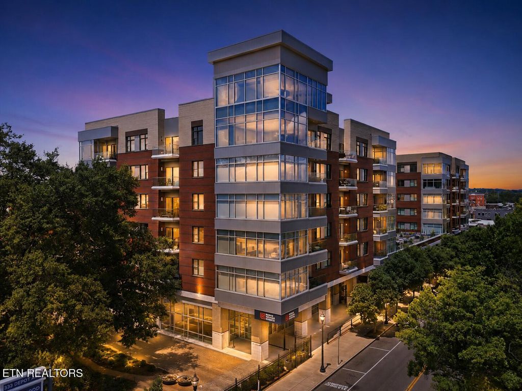 Photo of 333 W Depot Ave #207, Knoxville, TN 37917 (MLS # 1343583)