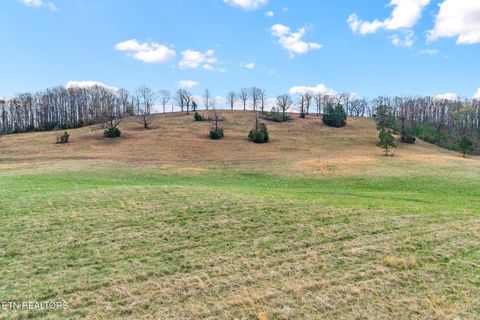Tiny photo for 4 N Nopone Valley Rd, Decatur, TN 37322 (MLS # 1332662)