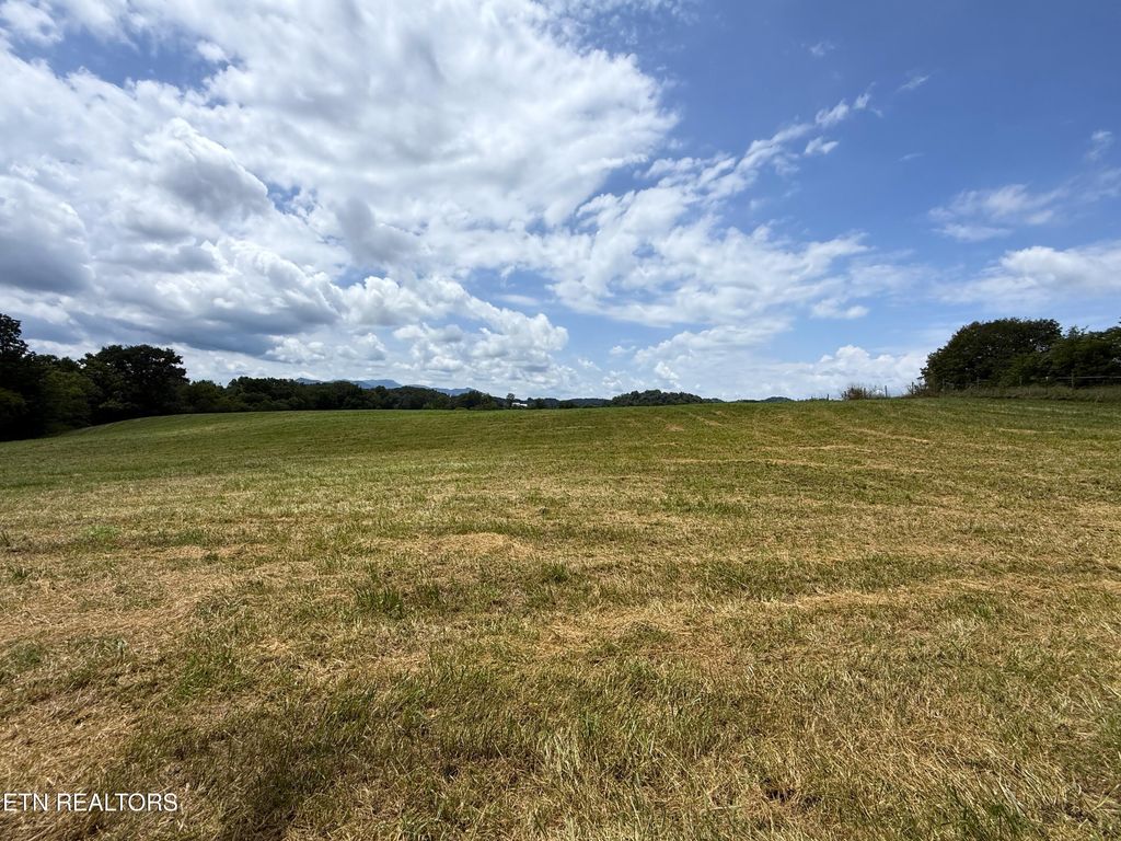 Photo of 565 Highway 160, Newport, TN 37821 (MLS # 1310527)