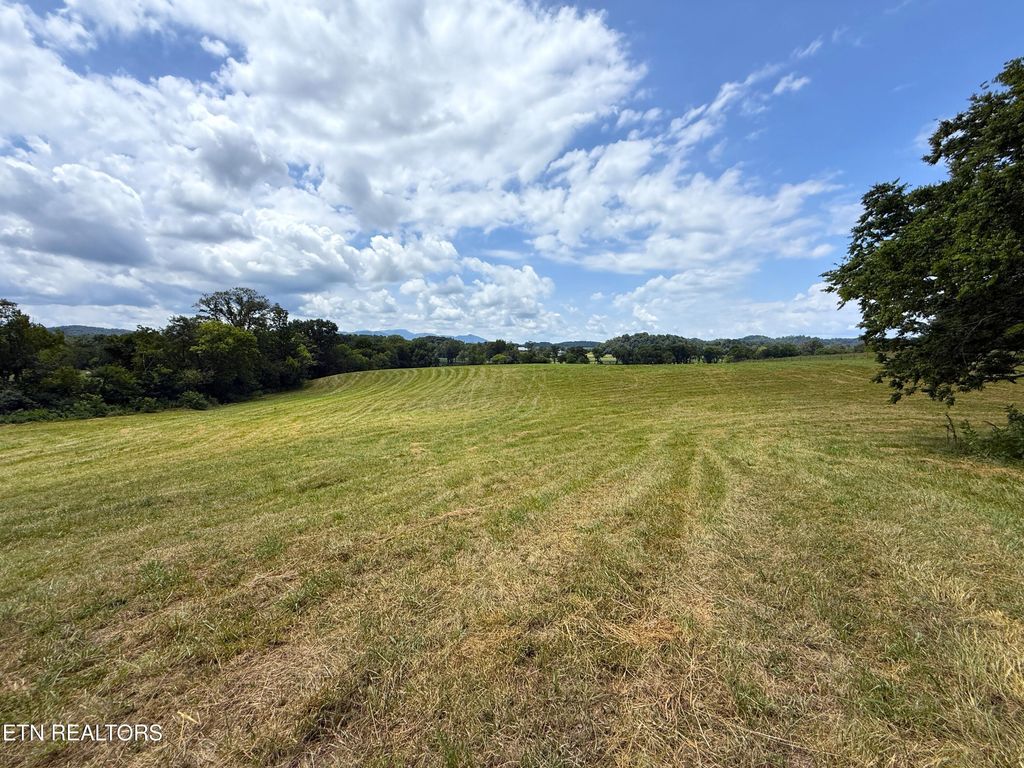 Photo of 565 Highway 160, Newport, TN 37821 (MLS # 1310527)