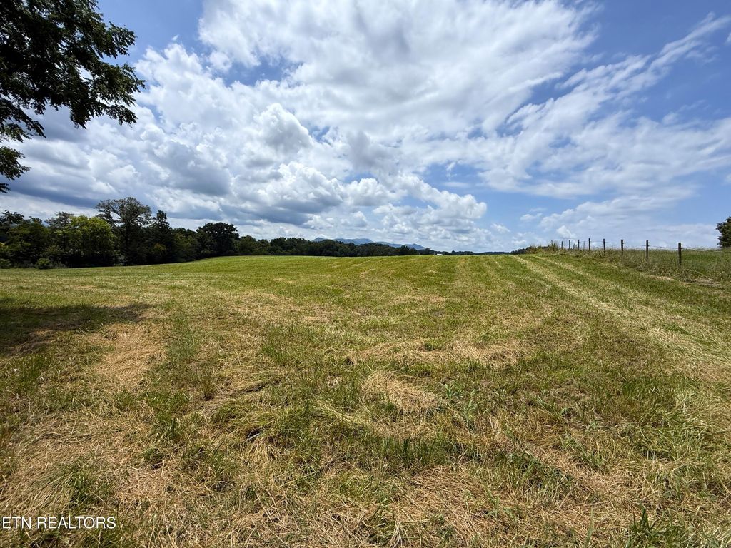 Photo of 565 Highway 160, Newport, TN 37821 (MLS # 1310527)