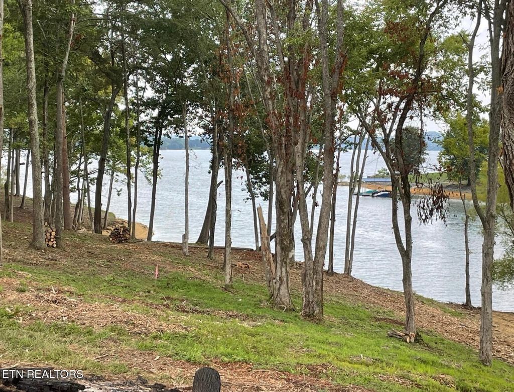 Photo of 39 English Mountain Point, White Pine, TN 37890 (MLS # 1294560)