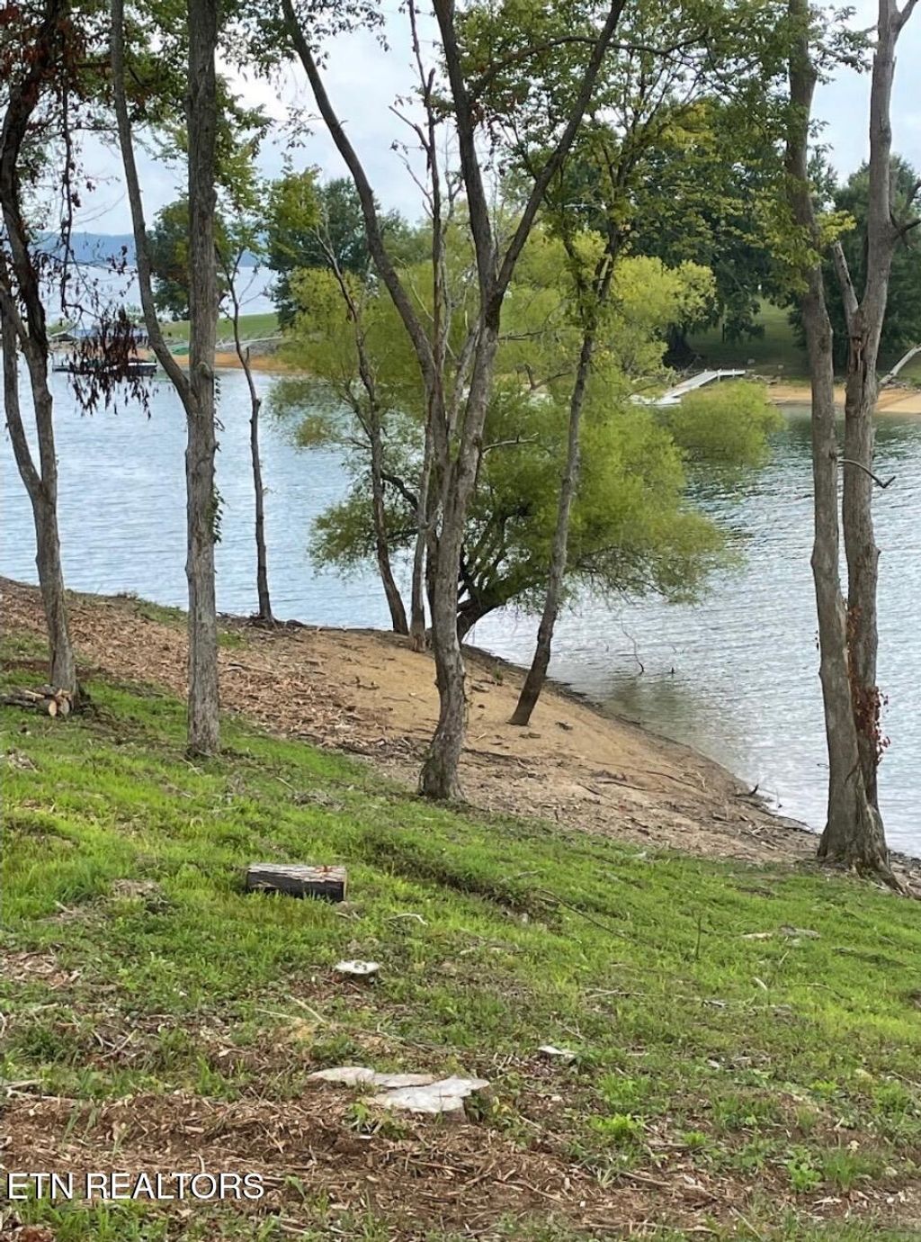 Photo of 39 English Mountain Point, White Pine, TN 37890 (MLS # 1294560)