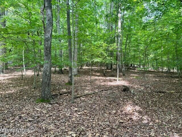 Photo of Woods Ridge Rd, Dandridge, TN 37725 (MLS # 1357050)