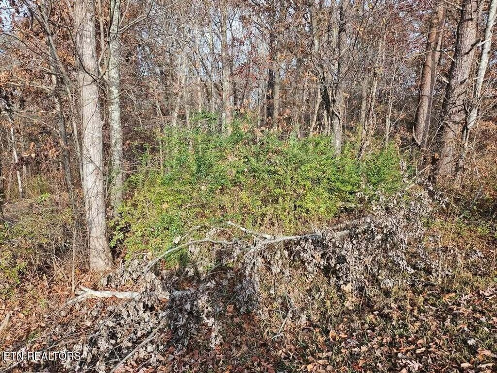 Photo of 2930 Smyrna Heights, Evensville, TN 37332 (MLS # 1296229)