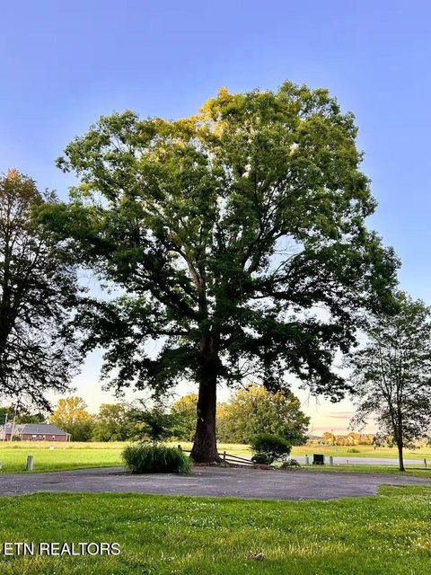 Tiny photo for 630 Ancient Oaks Court, White Pine, TN 37890 (MLS # 1333078)